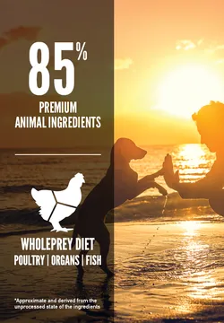 Orijen Puppy Grain-Free Dry Dog Food