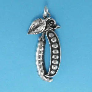 Peas In A Pod Charm