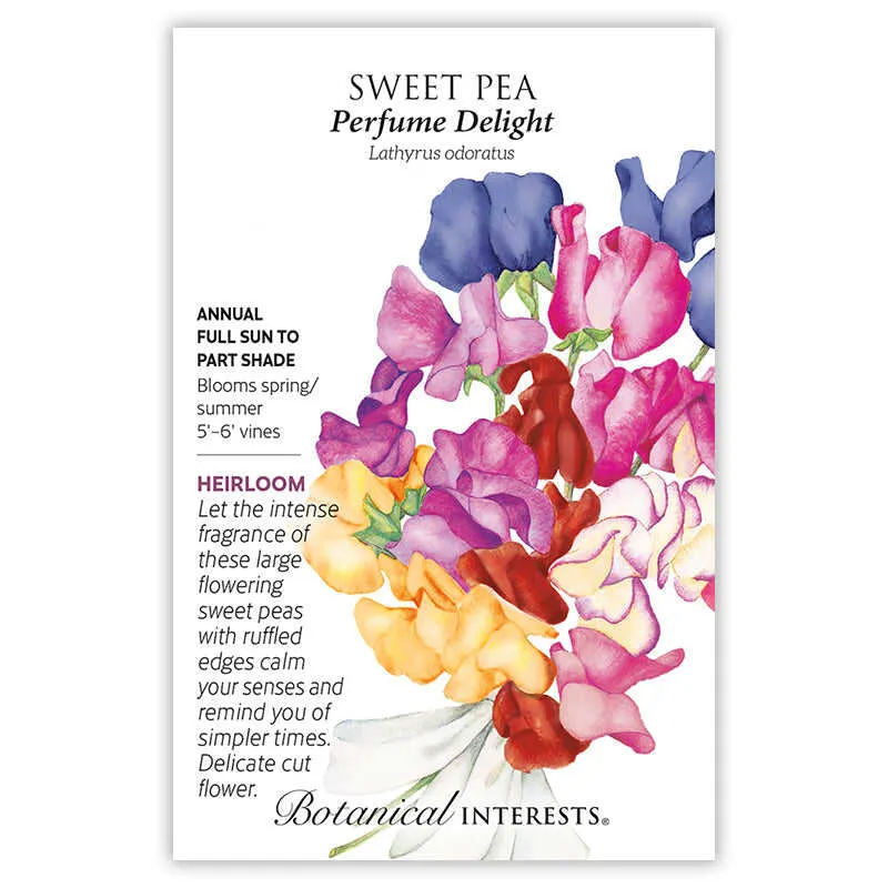 Perfume Delight Sweet Pea Seeds