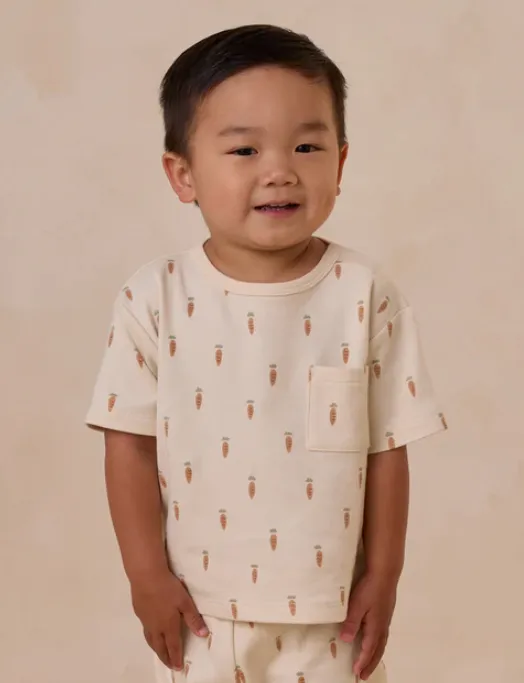 Play Set | Carrots