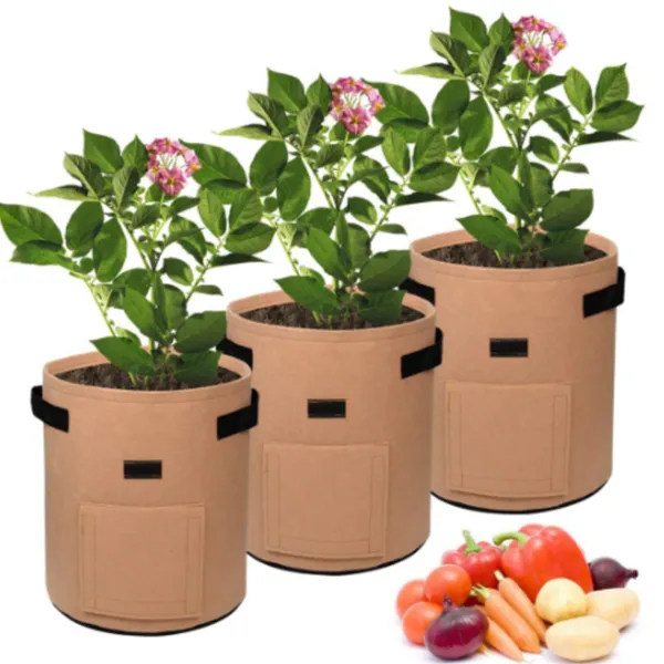 Potato Plant Bag