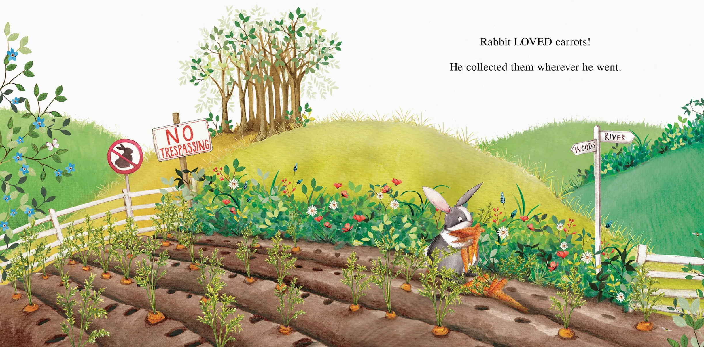 Too Many Carrots by Katy Hudson - Board Book