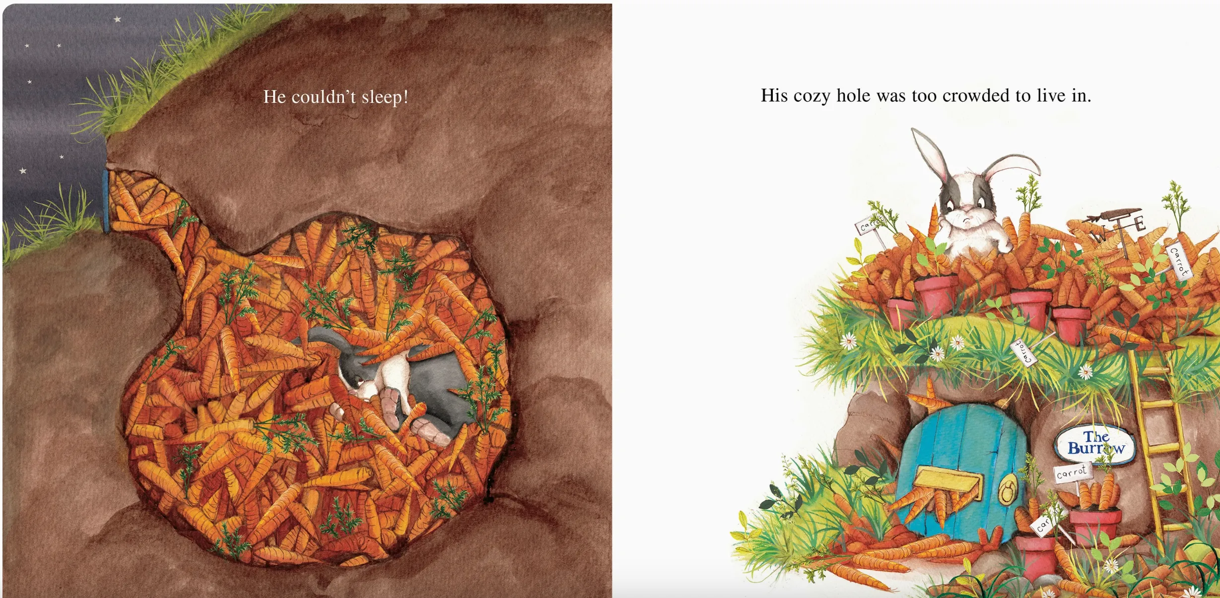 Too Many Carrots by Katy Hudson - Board Book