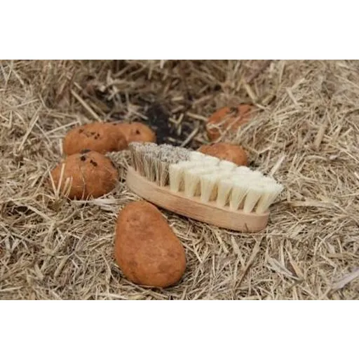 Vegetable Brush